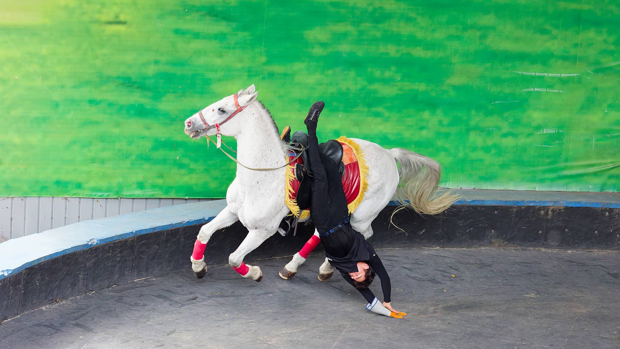 03 - Hehuanshan (43).jpg